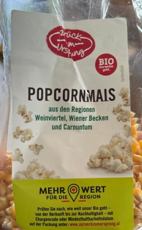 Fotografie - Popcornmais Zurück zum Ursprung