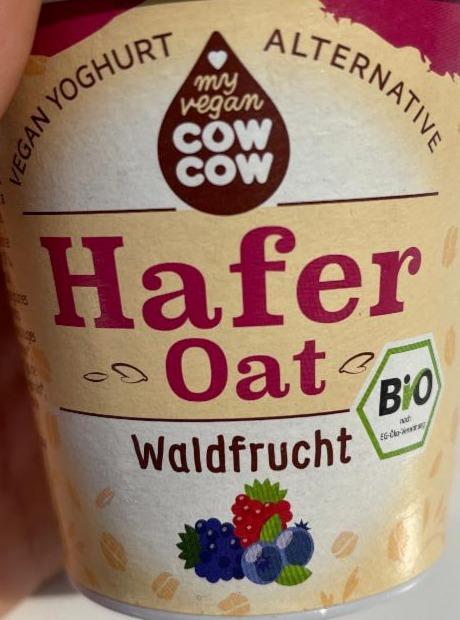 Fotografie - Hafer oat Waldfrucht Cow Cow