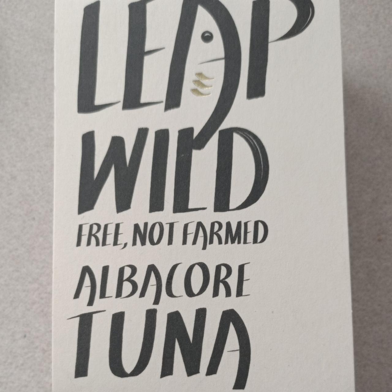 Fotografie - Albacore Tuna Leap Wild