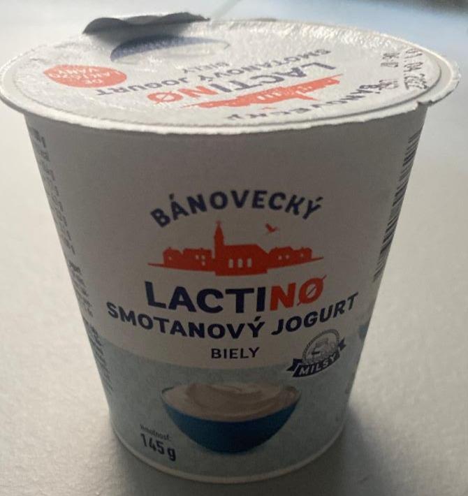 Fotografie - Lacti-no smetanový jogurt Milsy