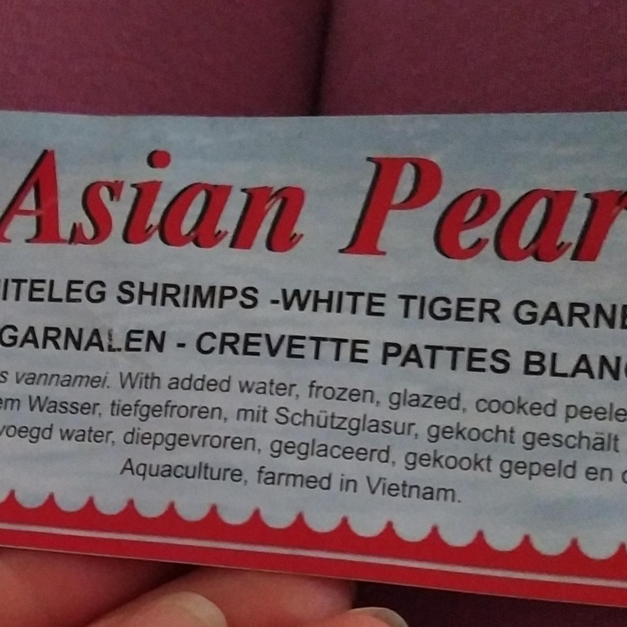 Fotografie - Whiteleg shrimps Asian Pearl