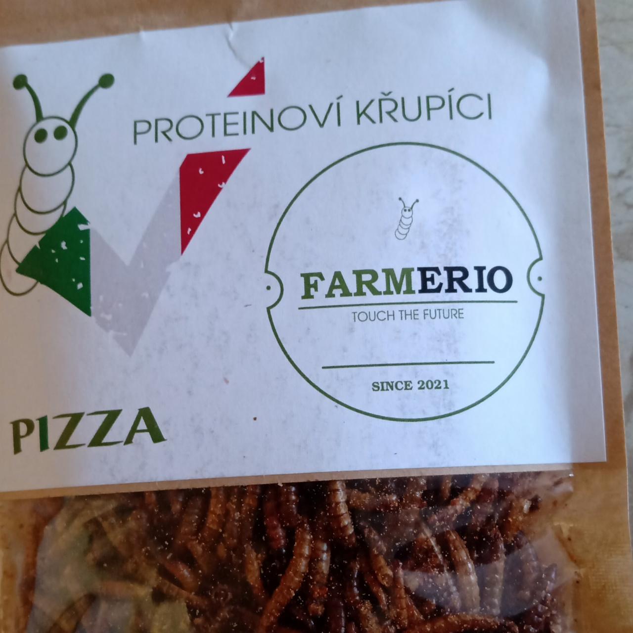 Fotografie - proteinoví křupíci pizza Farmerio
