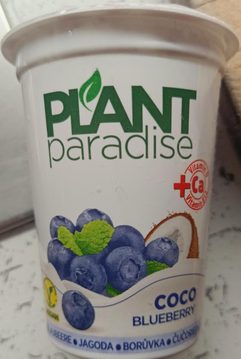 Fotografie - Coco Blueberry Plant Paradise