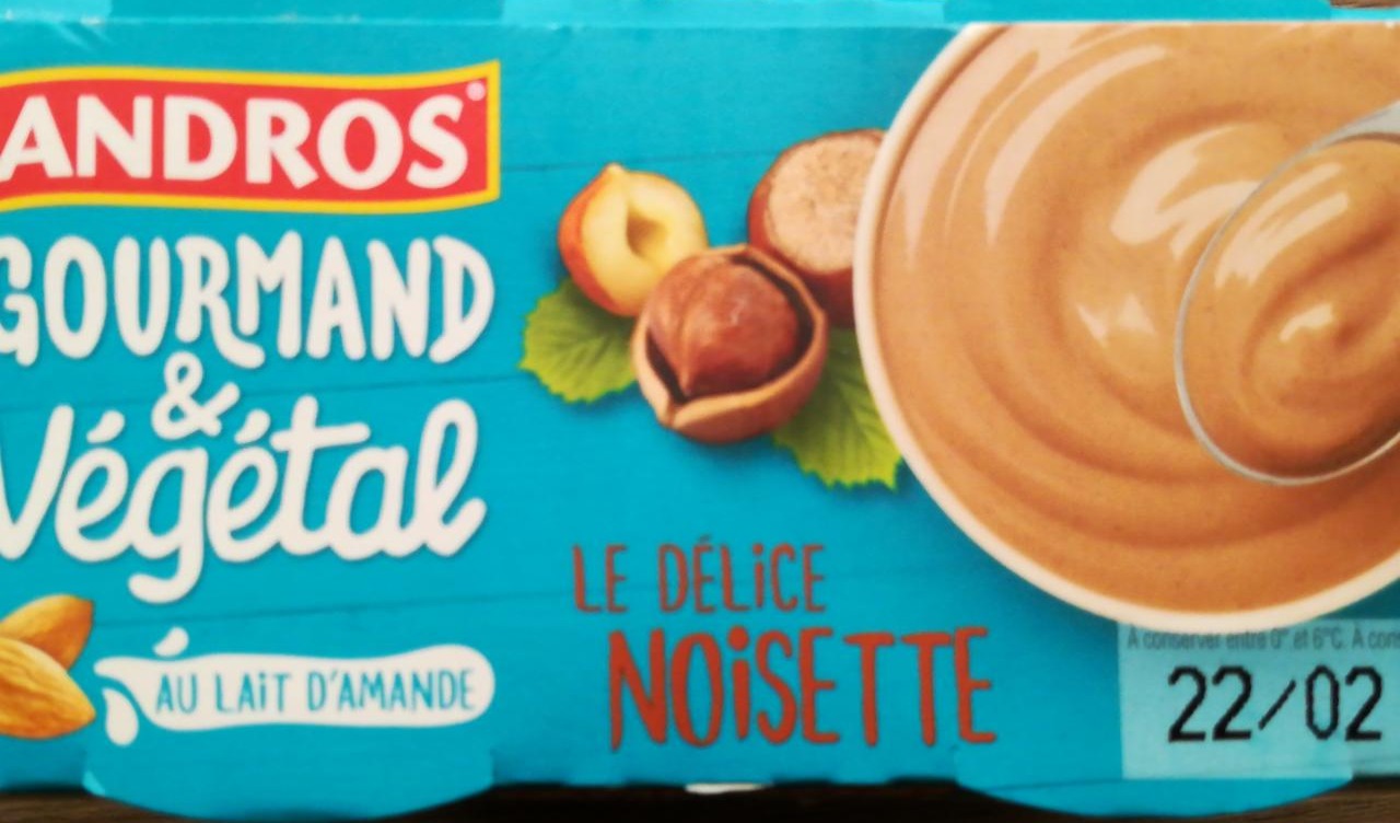 Fotografie - Gourmand & Végétal Le Délice Noisette Andros