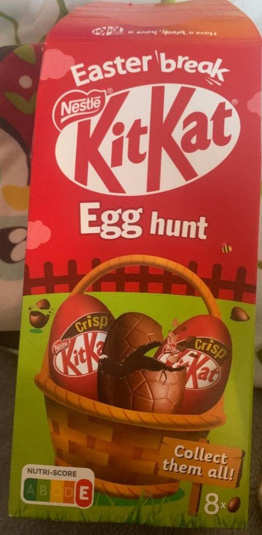 Fotografie - KitKat Egg Hunt