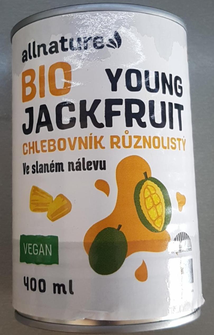 Fotografie - Bio Young Jackfruit Allnature