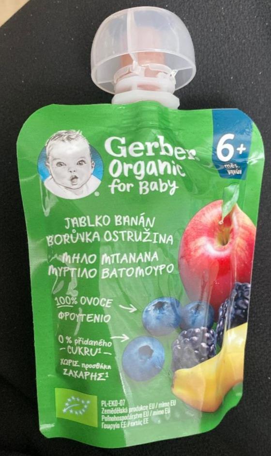 Fotografie - For Baby jablko banán borůvka ostružina Gerber Organic