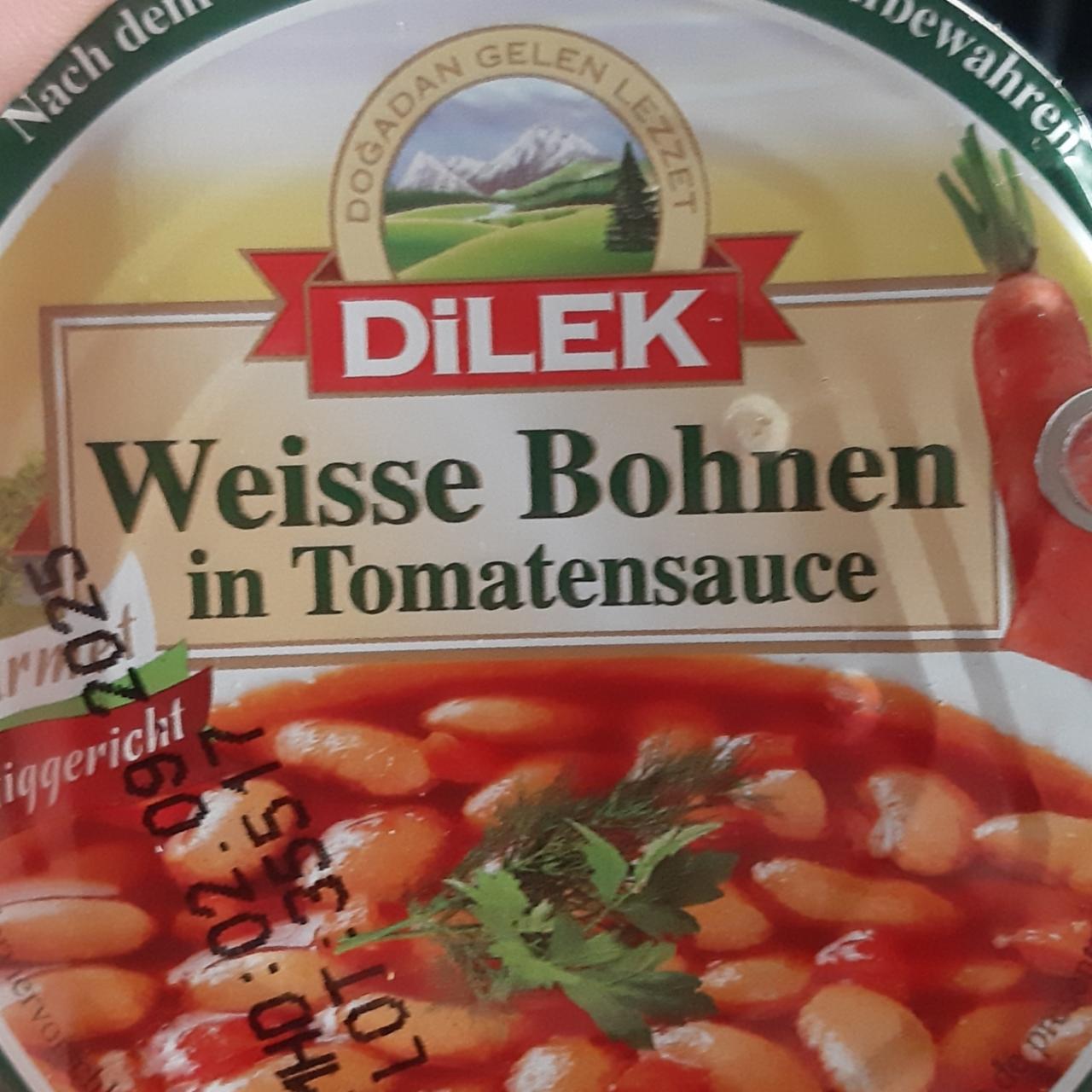 Fotografie - Weisse Bohnen in Tomatensoße Bílé fazole v rajčatové omáčce Dilek