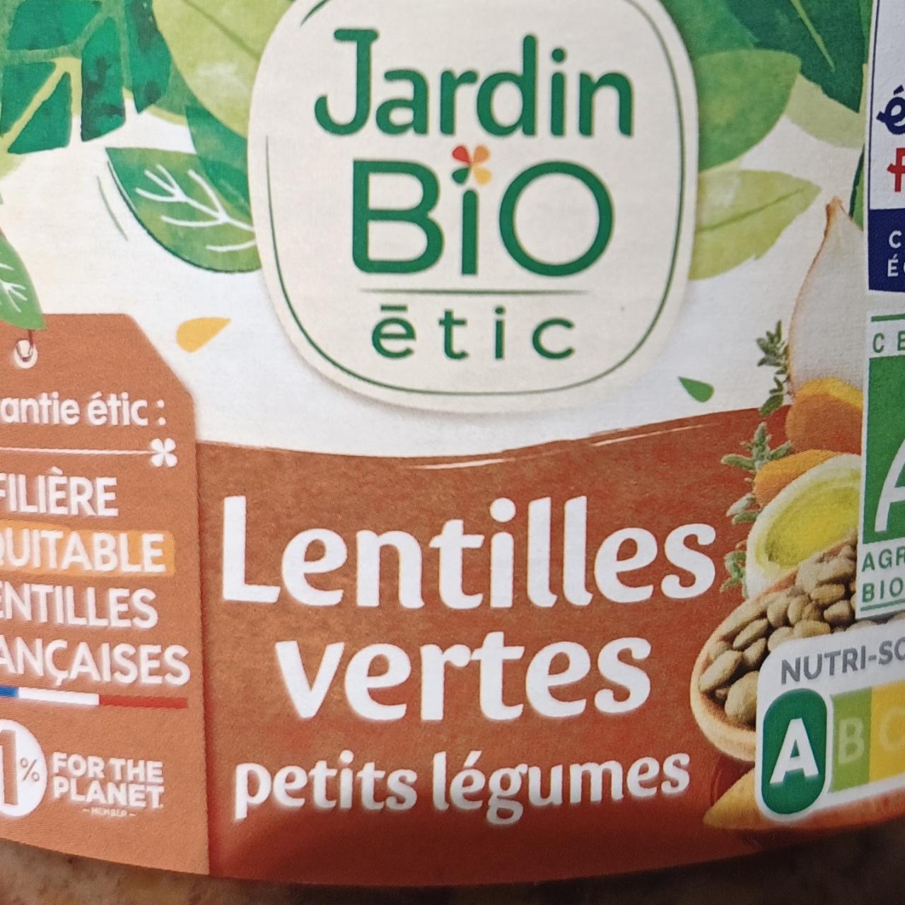 Fotografie - Lentilles vertes petits légumes Jardin BIO