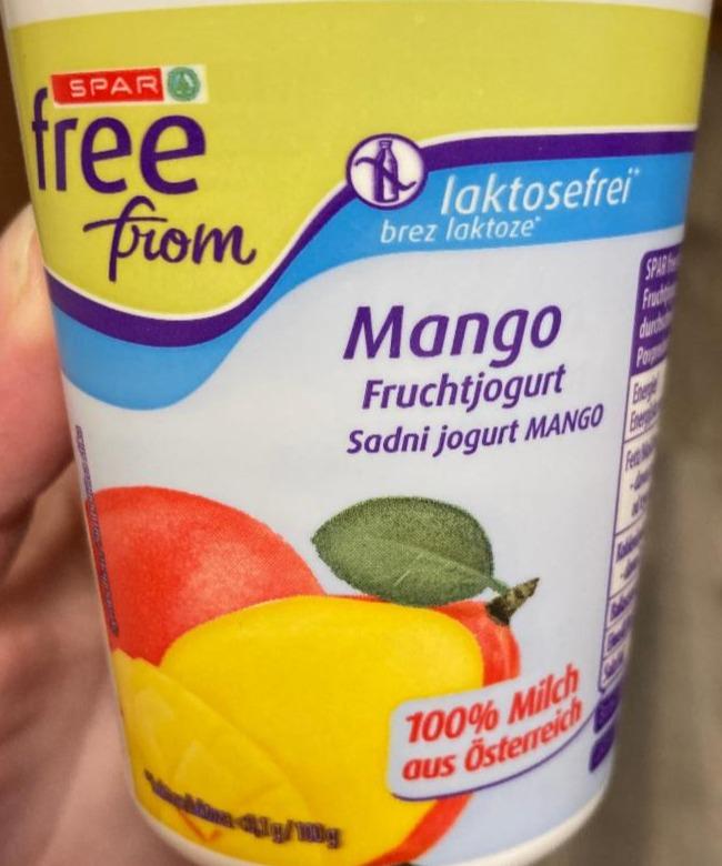Fotografie - Fruchtjogurt laktosefrei Mango Spar