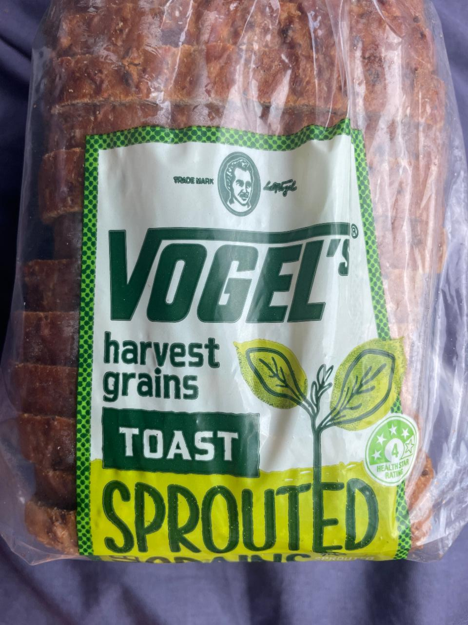 Fotografie - Harvest grains toast sprouted Vogel's