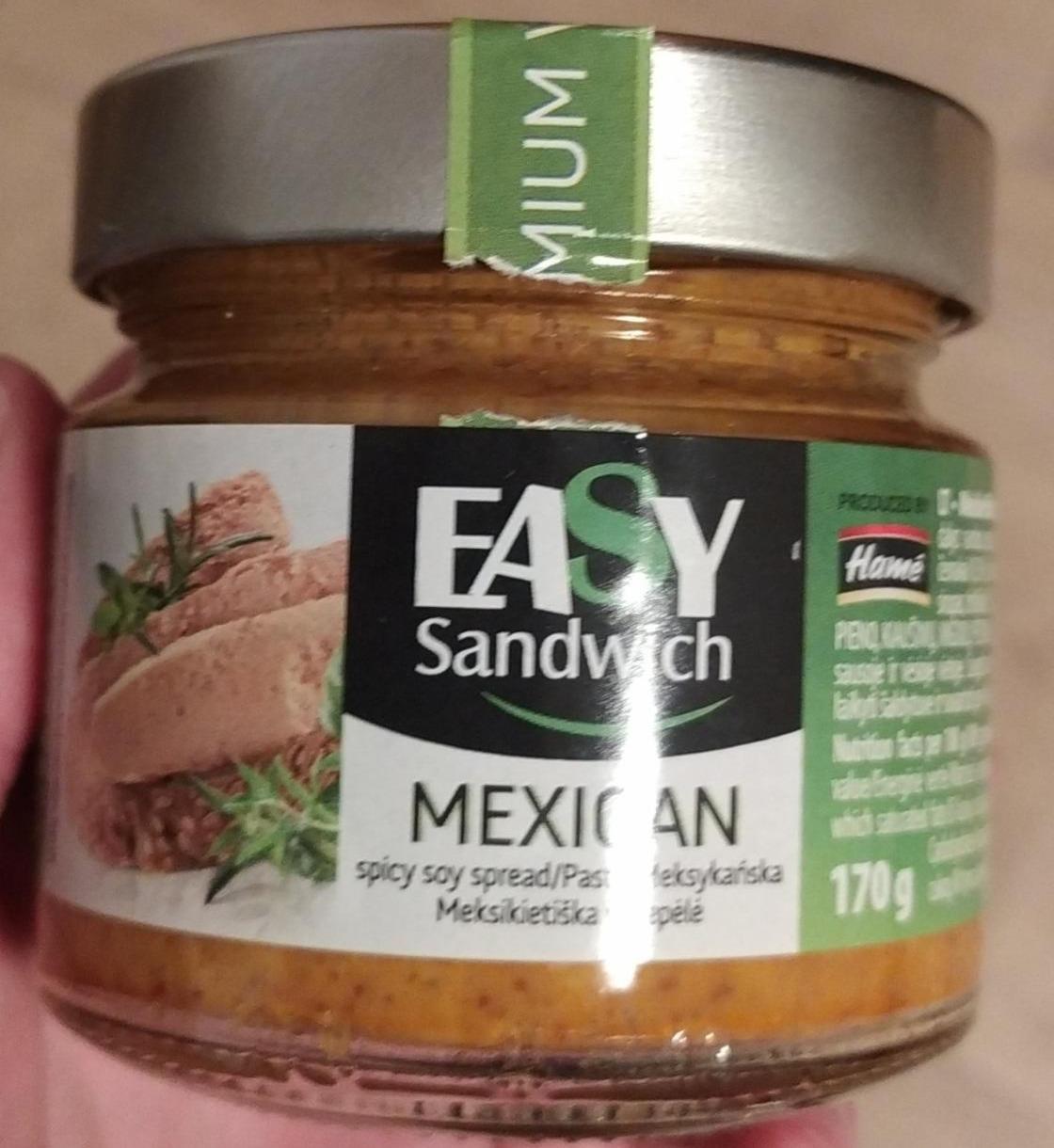 Fotografie - Easy Sandwich Mexican Hamé