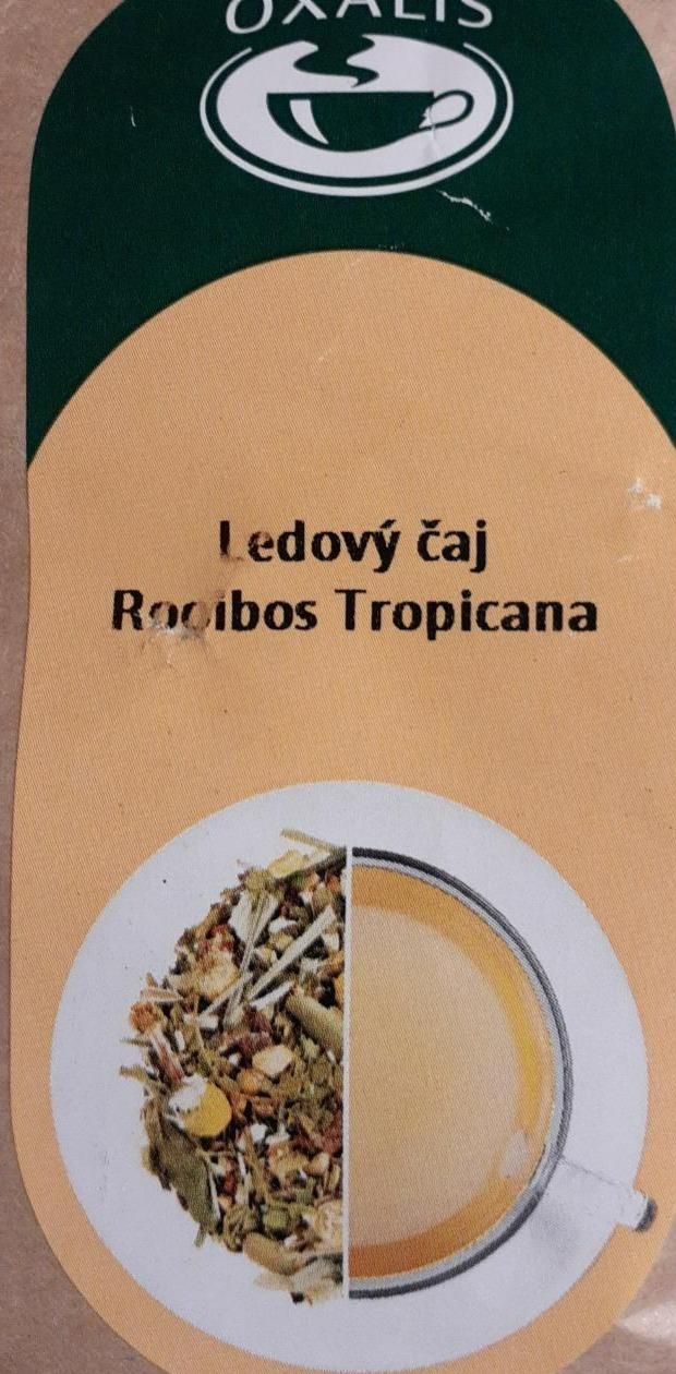 Fotografie - Ledový čaj Rooibos tropicana Oxalis