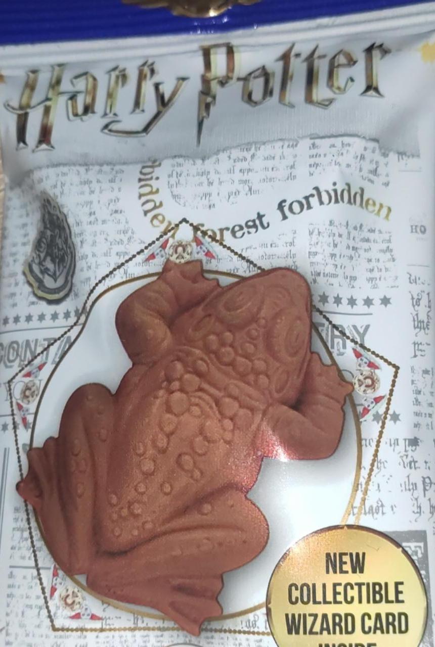 Fotografie - Harry Potter Chocolate Frog