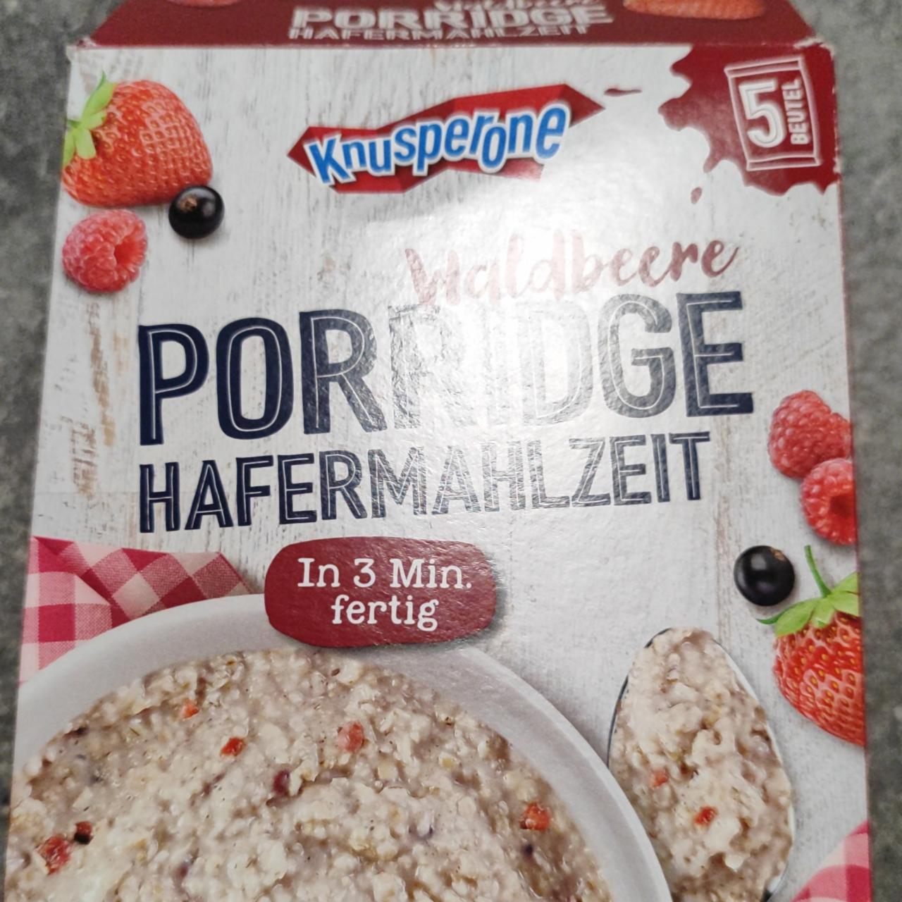 Fotografie - Porridge hafermahlzeit waldbeere Knusperone