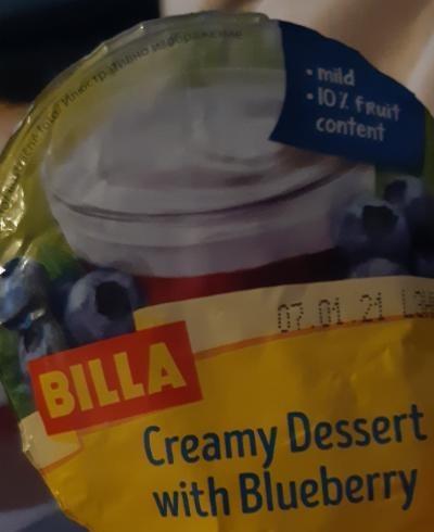 Fotografie - Creamy Dessert with Blueberry Billa