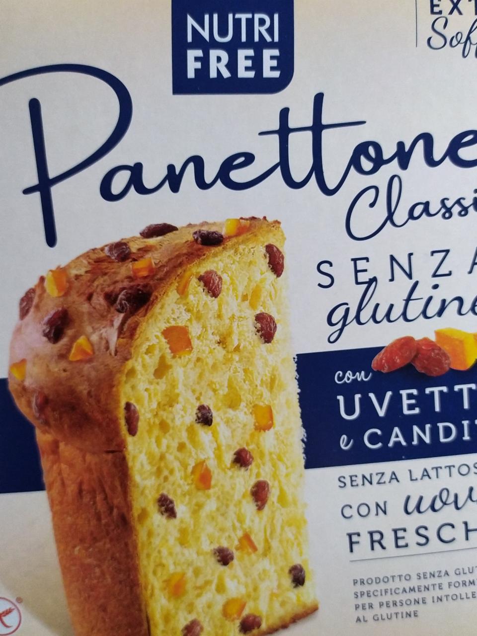 Fotografie - Panettone classico senza glutine NutriFree