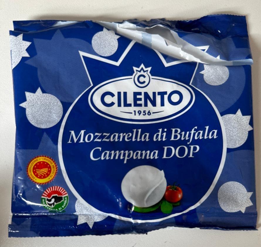 Fotografie - Mozzarella di bufala campana DOP Cilento