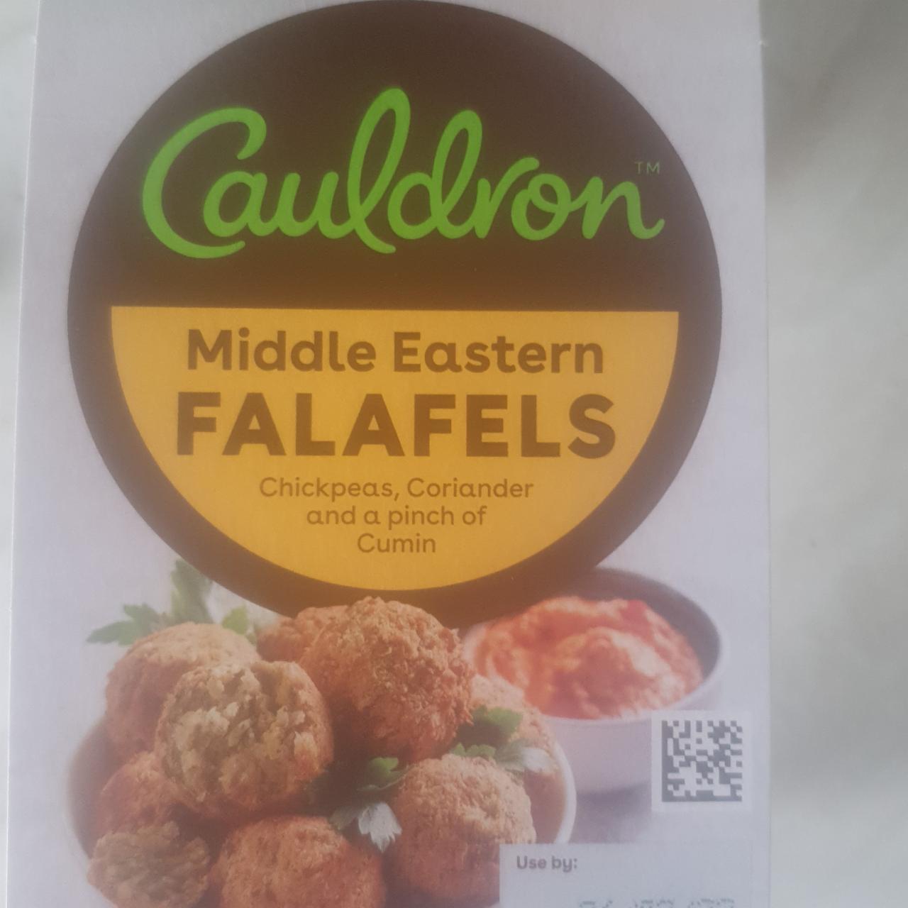 Fotografie - Middle Eastern Falafels Cauldron