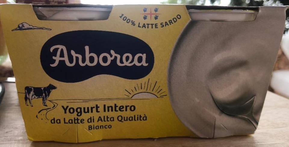 Fotografie - Yogurt Intero da Latte di Alta Qualità Bianco Arborea