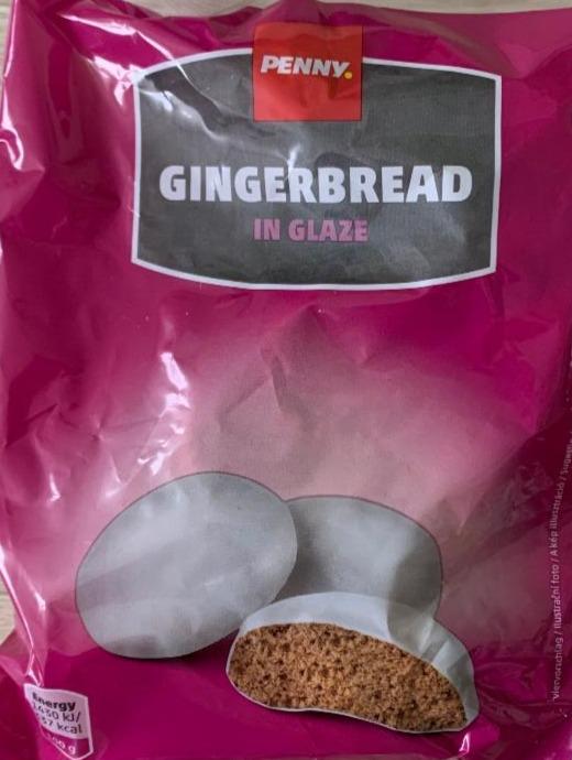 Fotografie - Gingerbread in glaze Penny