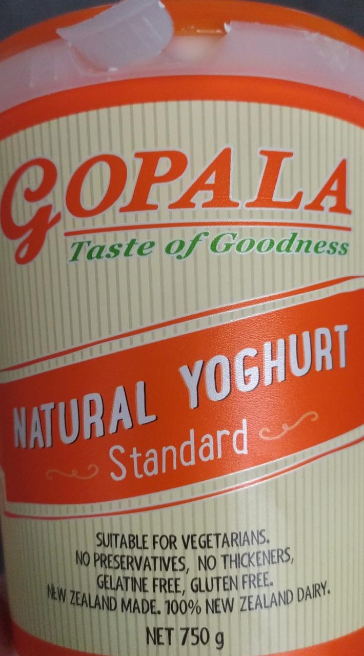 Fotografie - Natural Standard Yoghurt Gopala