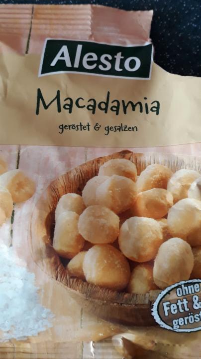 Fotografie - Makadamové ořechy pražené a solené - Alesto