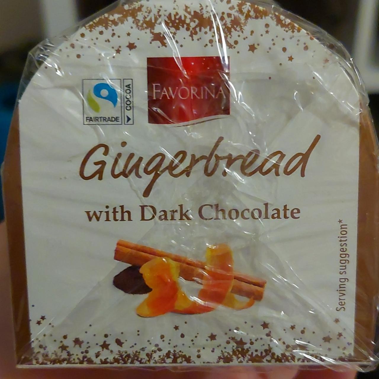 Fotografie - Gingerbread with Dark Chocolate Favorina
