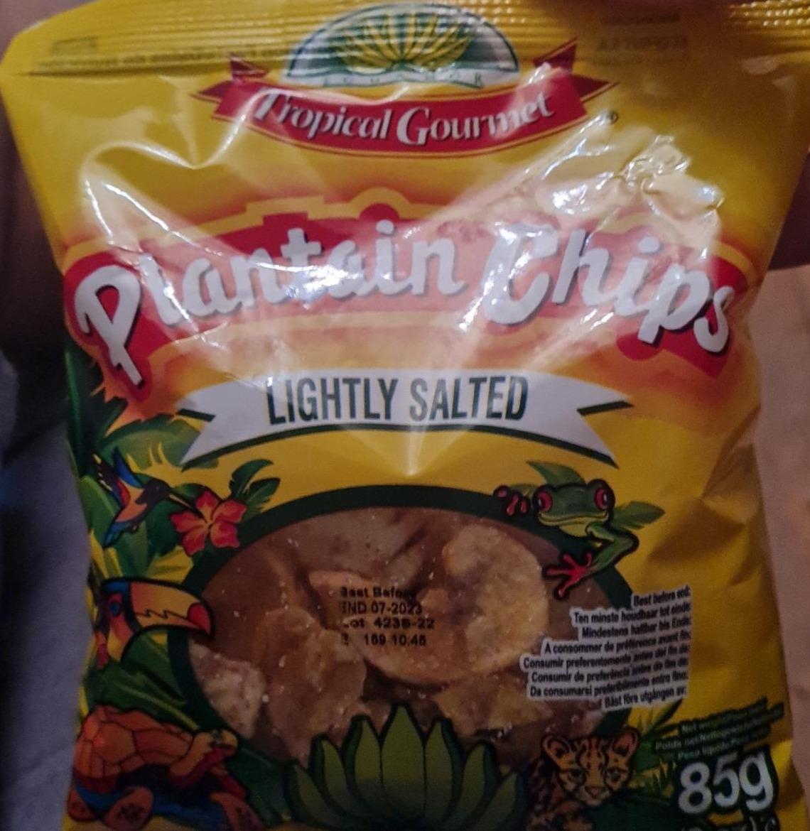 Fotografie - Plantain Chips Lightly Salted Tropical Gourmet