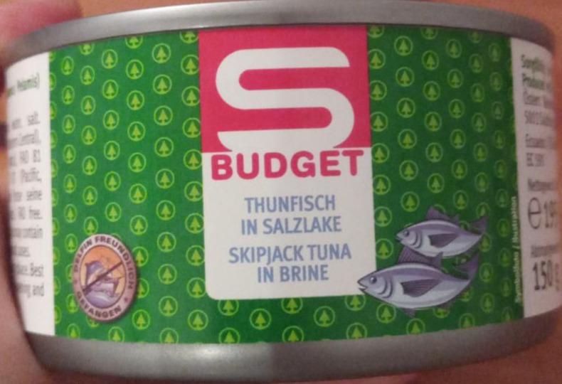 Fotografie - Thunfisch in Salzlake S Budget