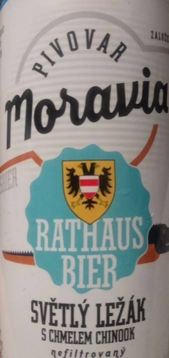 Fotografie - Moravia Rathaus bier světlý ležák nefiltrovaný