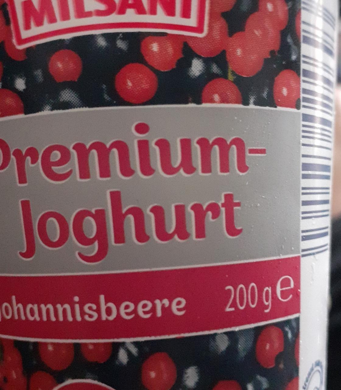 Fotografie - Premium Joghurt Johannisbeere Milsani