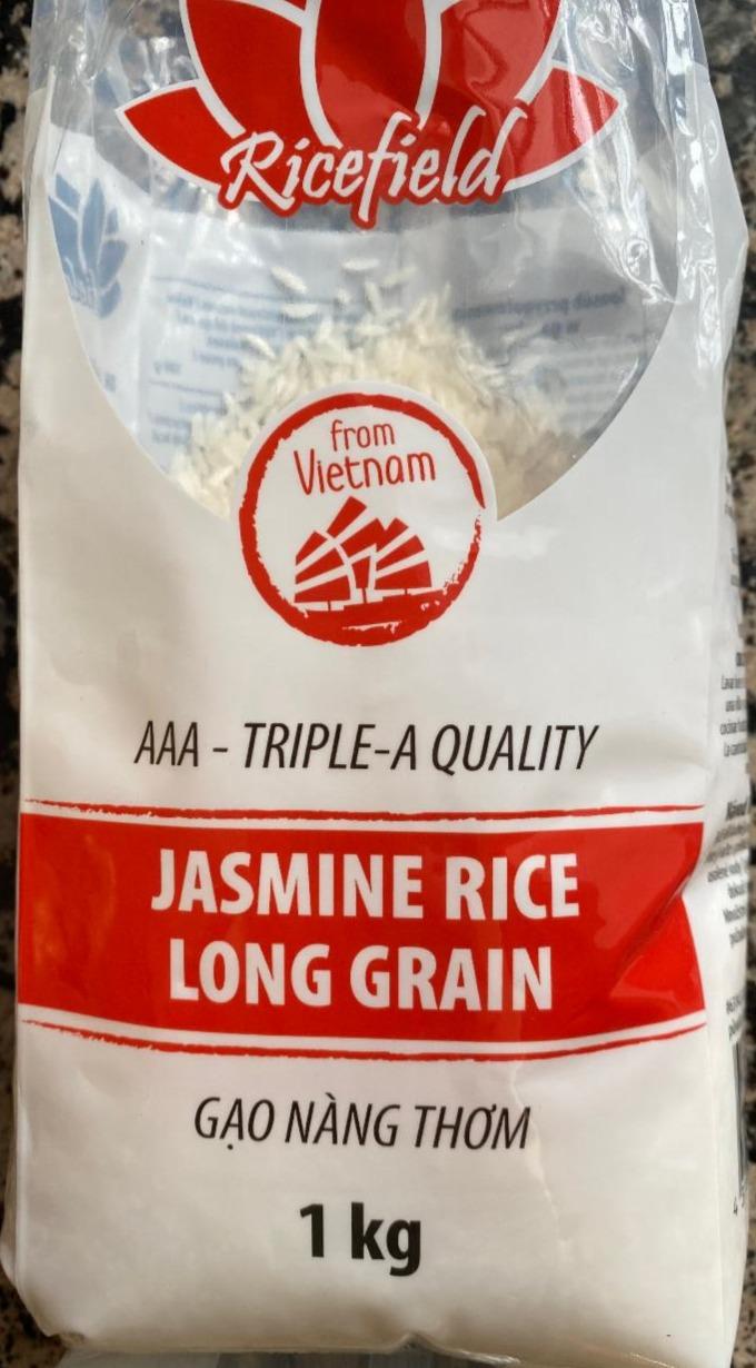 Fotografie - AAA Jasmine Rice Long Grain Ricefield