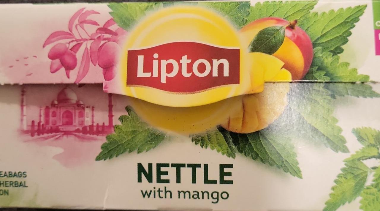 Fotografie - Lipton Nettle with mango