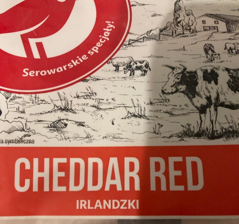 Fotografie - Cheddar Red Irlandzki Auchan