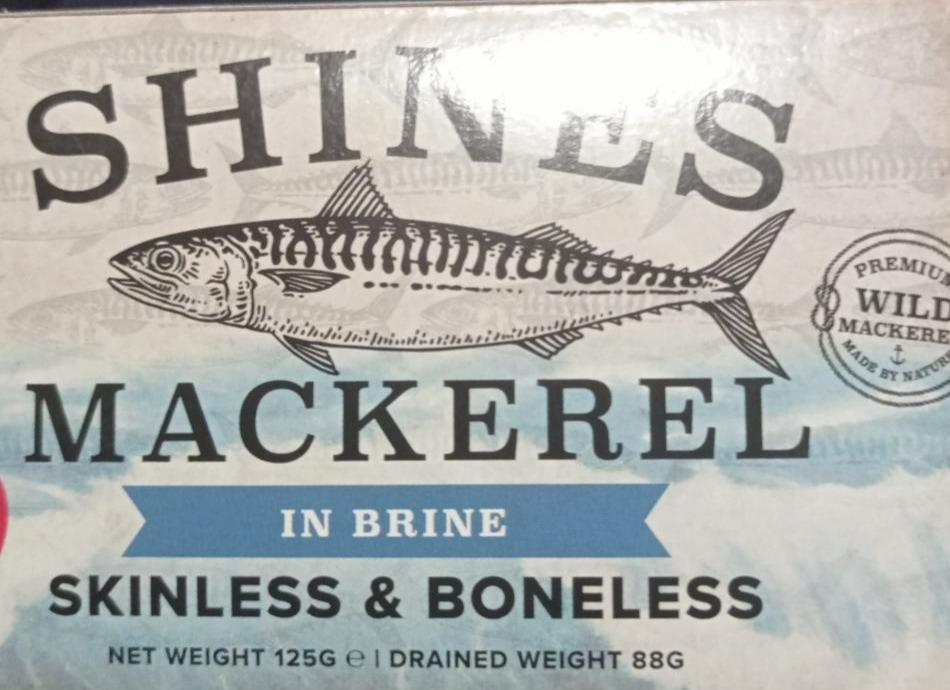 Fotografie - Shines Mackerel in brine