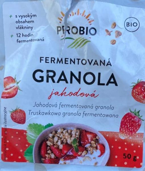 Fotografie - Granola jahodová fermentovaná ProBio