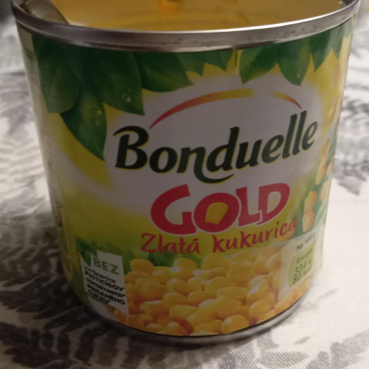 Fotografie - Gold Zlatá kukuřice Bonduelle