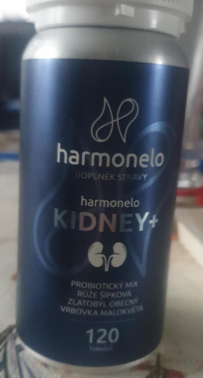 Fotografie - Kidney+ Harmonelo