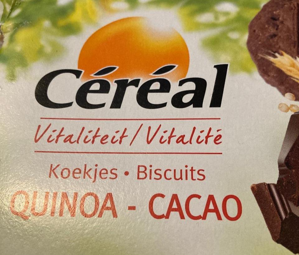 Fotografie - Cereal - quinoa - cacao