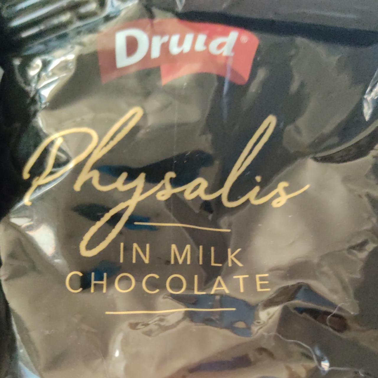 Fotografie - Physalis in milk chocolate Druid