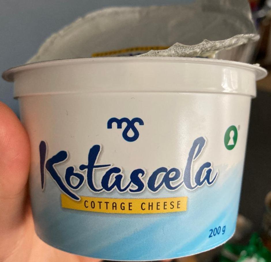 Fotografie - Kotasæla Cottage cheese MS