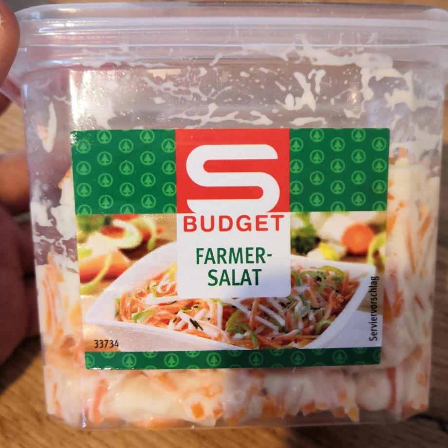 Fotografie - Famer-Salat S Budget