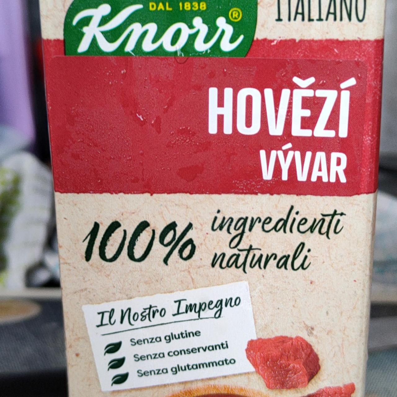 Fotografie - Hovězí vývar 100% ingredienti naturali Knorr