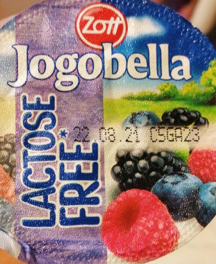 Fotografie - Jogobella lactose free lesní ovoce Zott