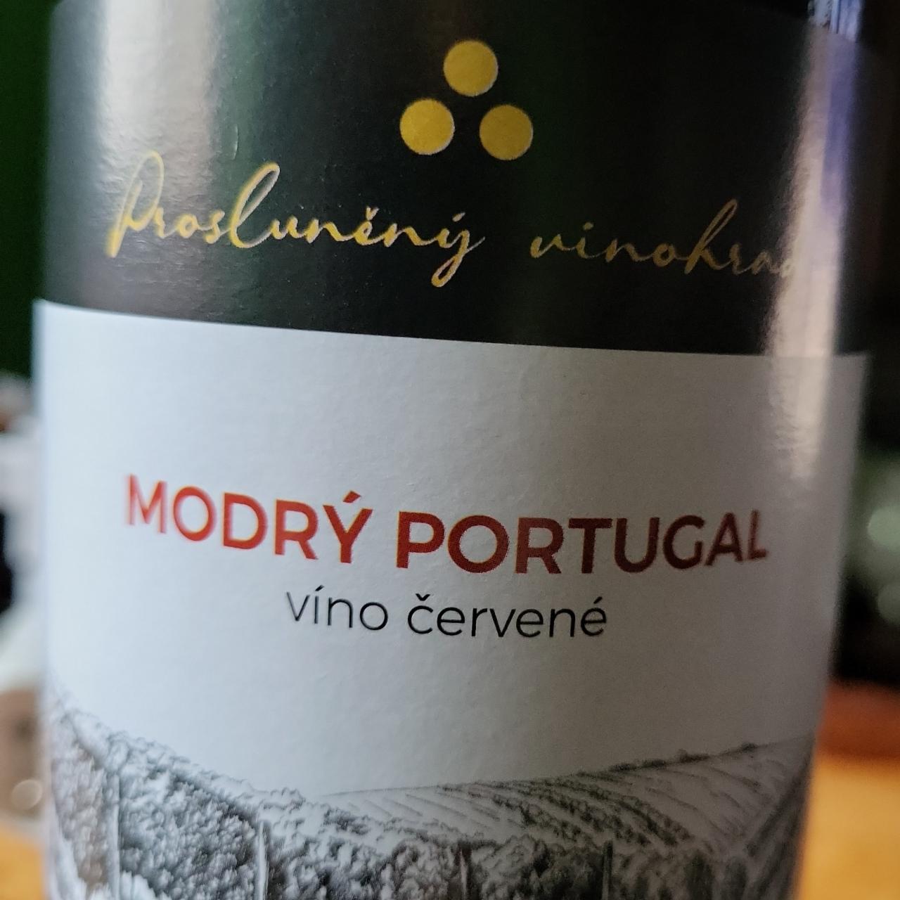 Fotografie - Modrý Portugal Prosluněný vinohrad