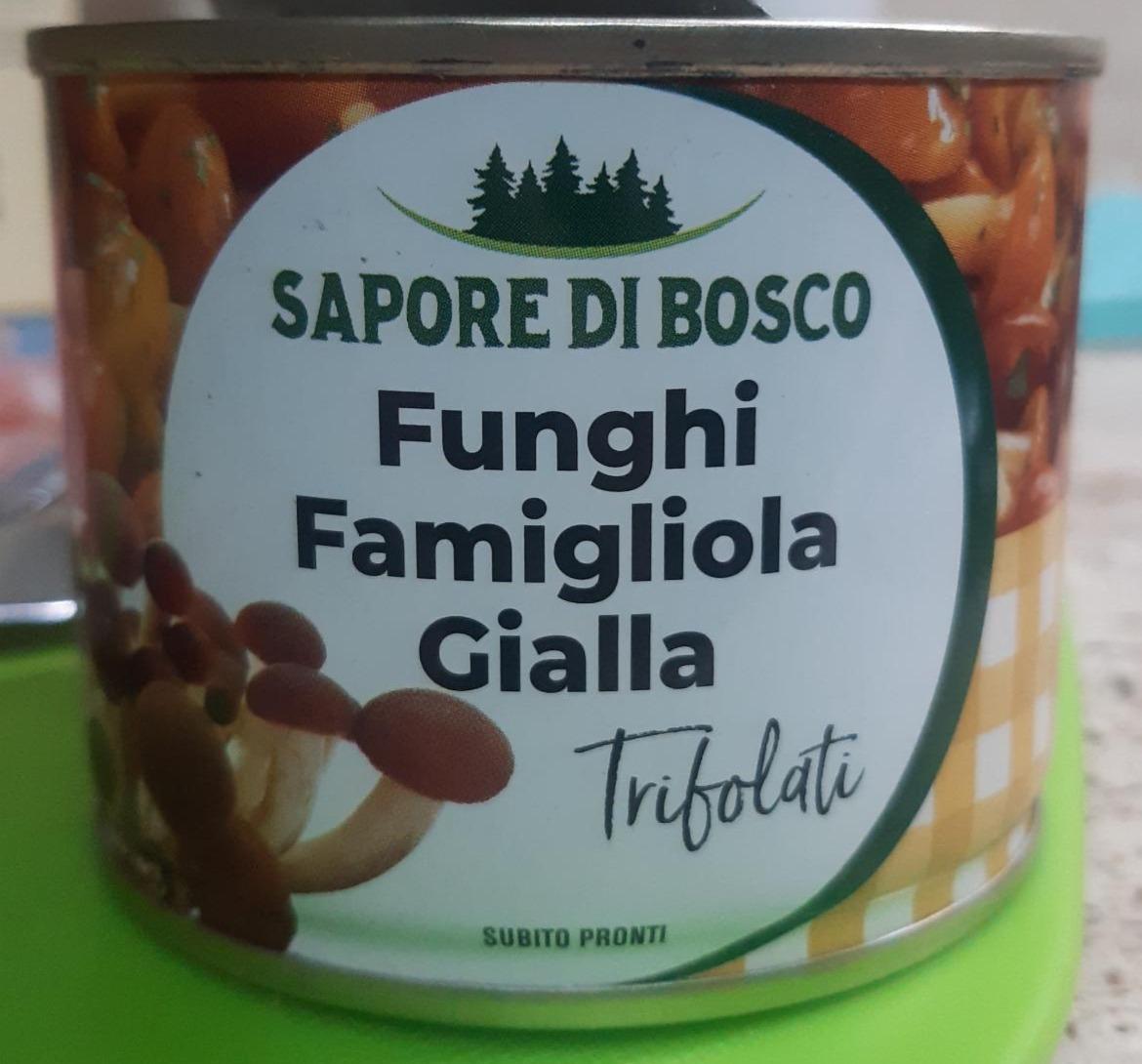 Fotografie - Funghi Famigliola Gialla Trifolati Sapore di Bosco