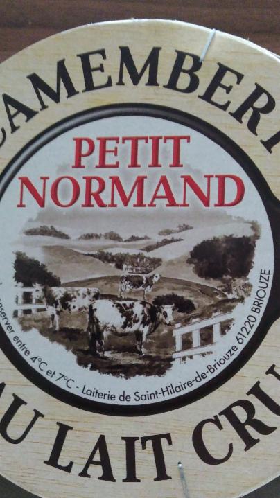 Fotografie - Camembert Petit Normand 45%