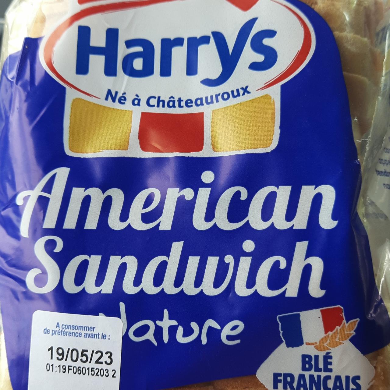 Fotografie - American sandwich Nature Harrys