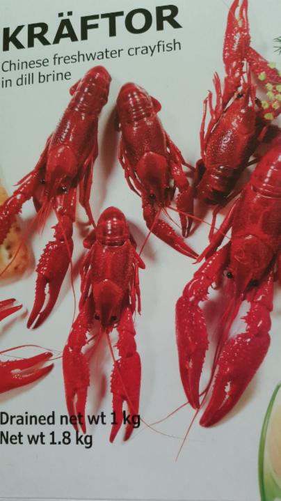 Fotografie - Kräftor, crayfish in Dill brine Ikea